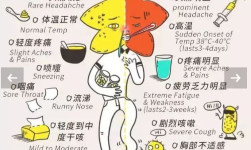 肝硬化能吃香菜吗-肝硬化病人能多吃香瓜网 | 肝硬化病人能多吃香瓜子吗,肝硬化病人能多吃香瓜吗
